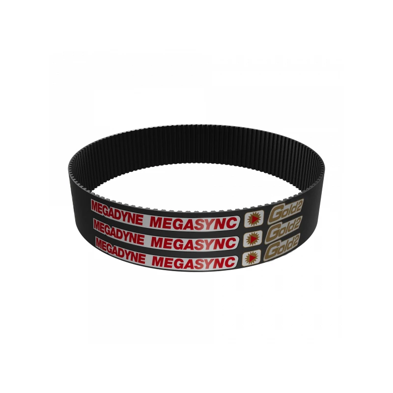 B06 Correas | Grupo Gaes
