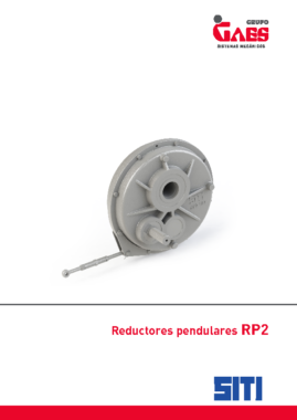 Reductores pendulares RP2